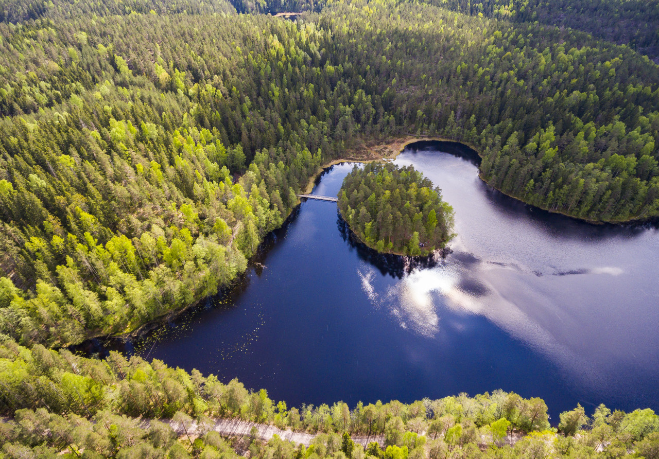 Paysage de Nuuksio.