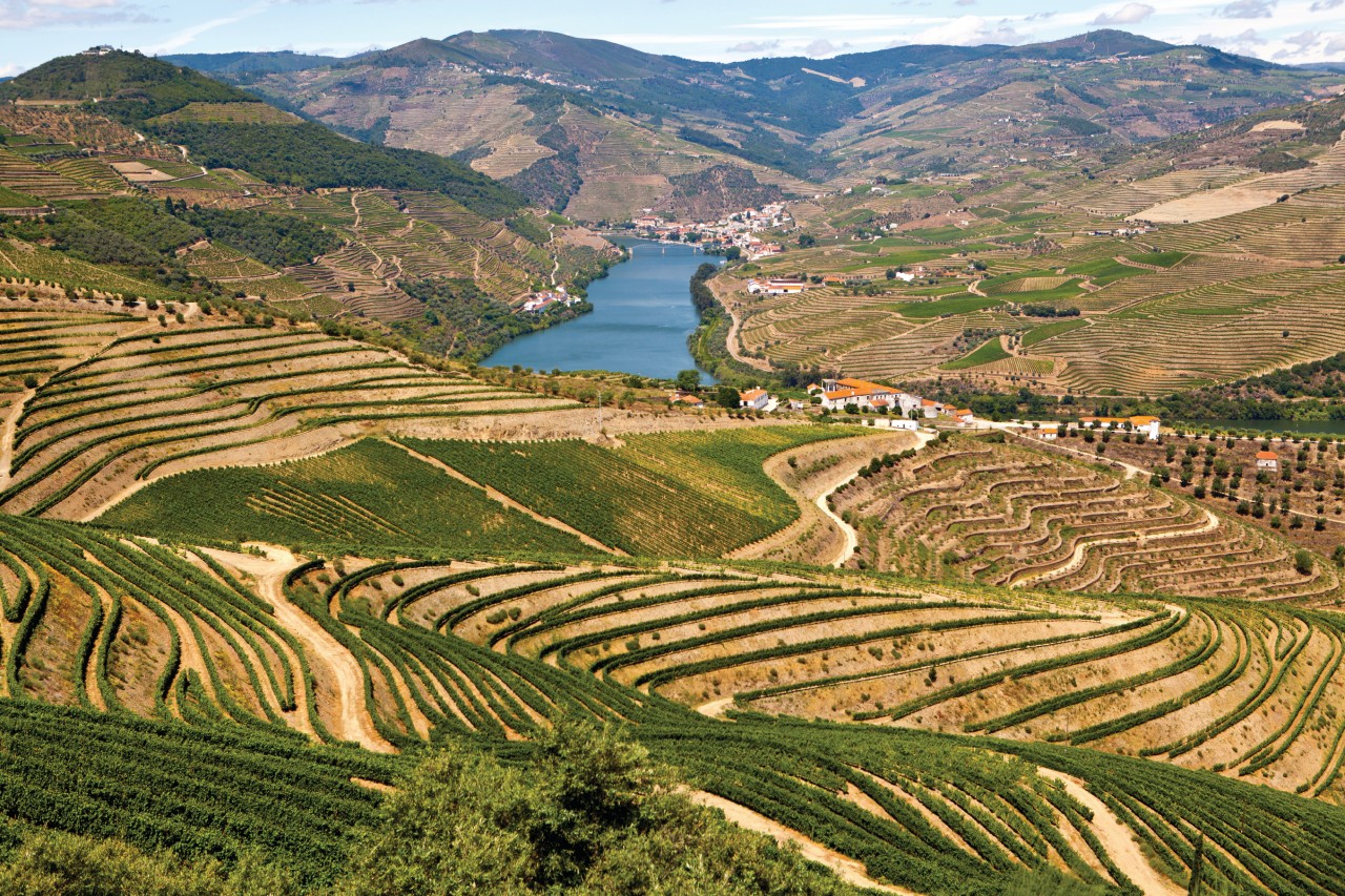 La vallée du Douro, près de Pinhão.