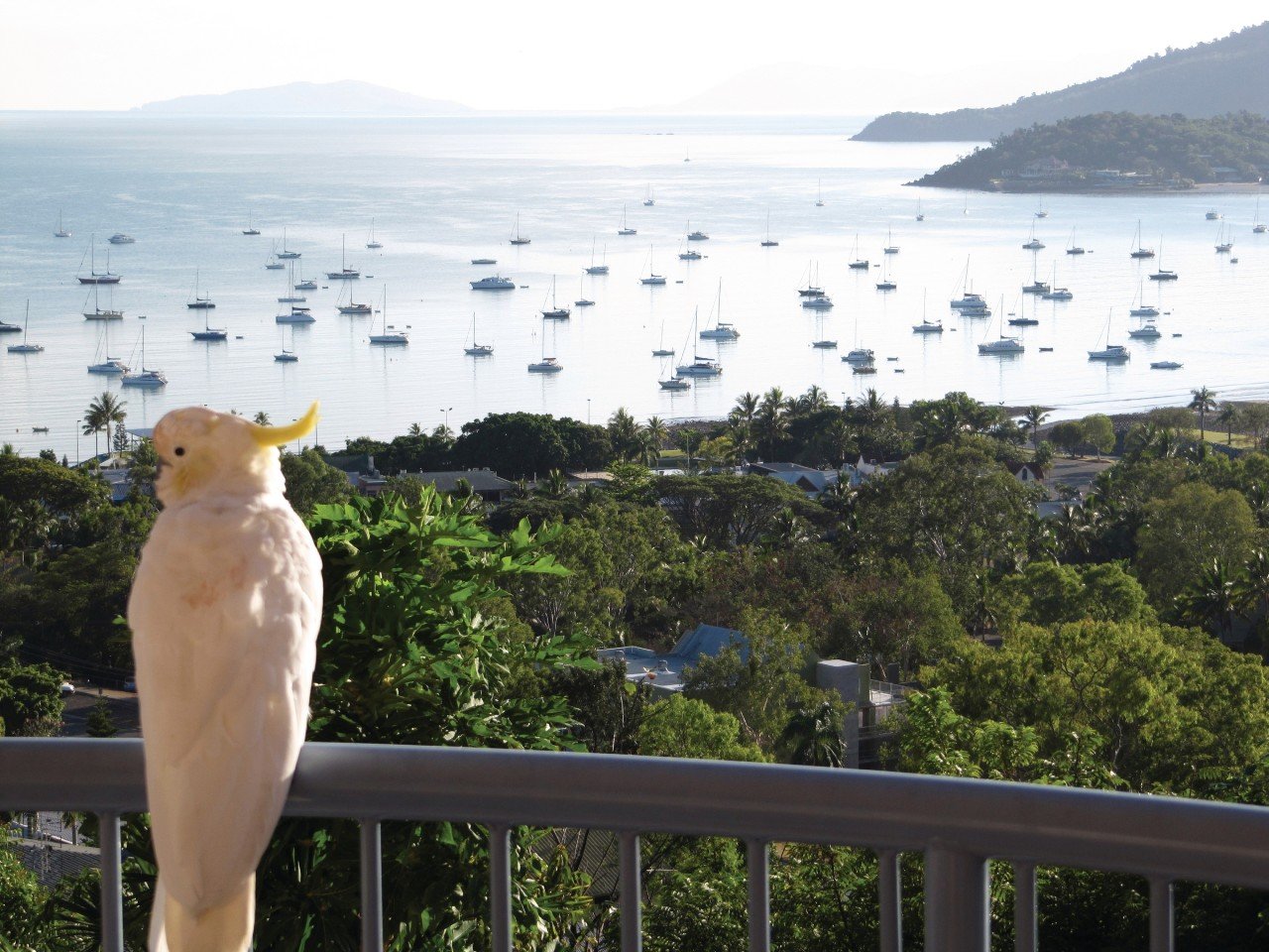 Airlie Beach, Australie.