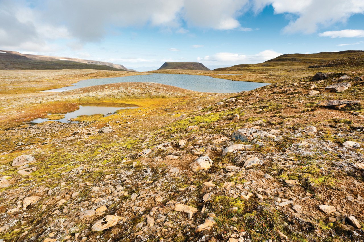 Péninsule de Vatnsnes.