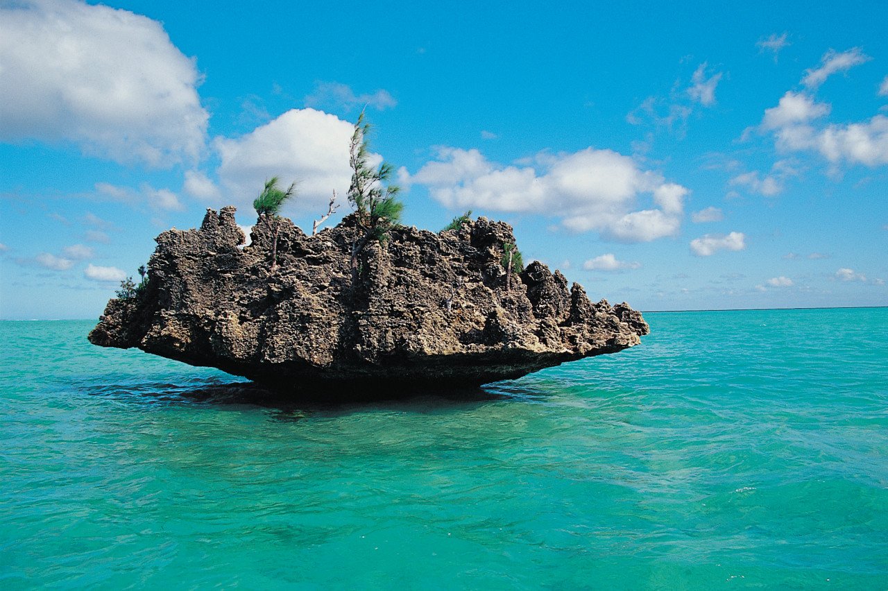 La Roche corail.