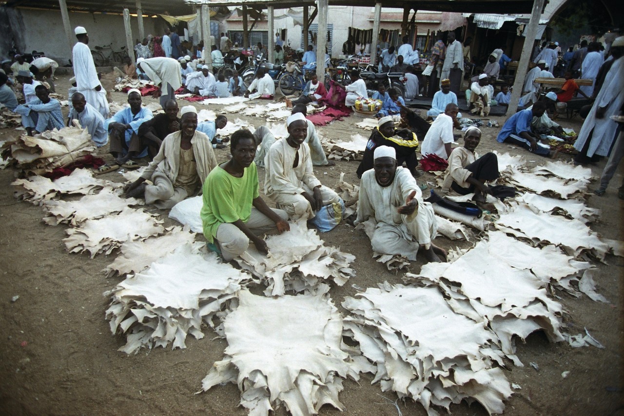 Le marché aux tanneurs de Maroua.