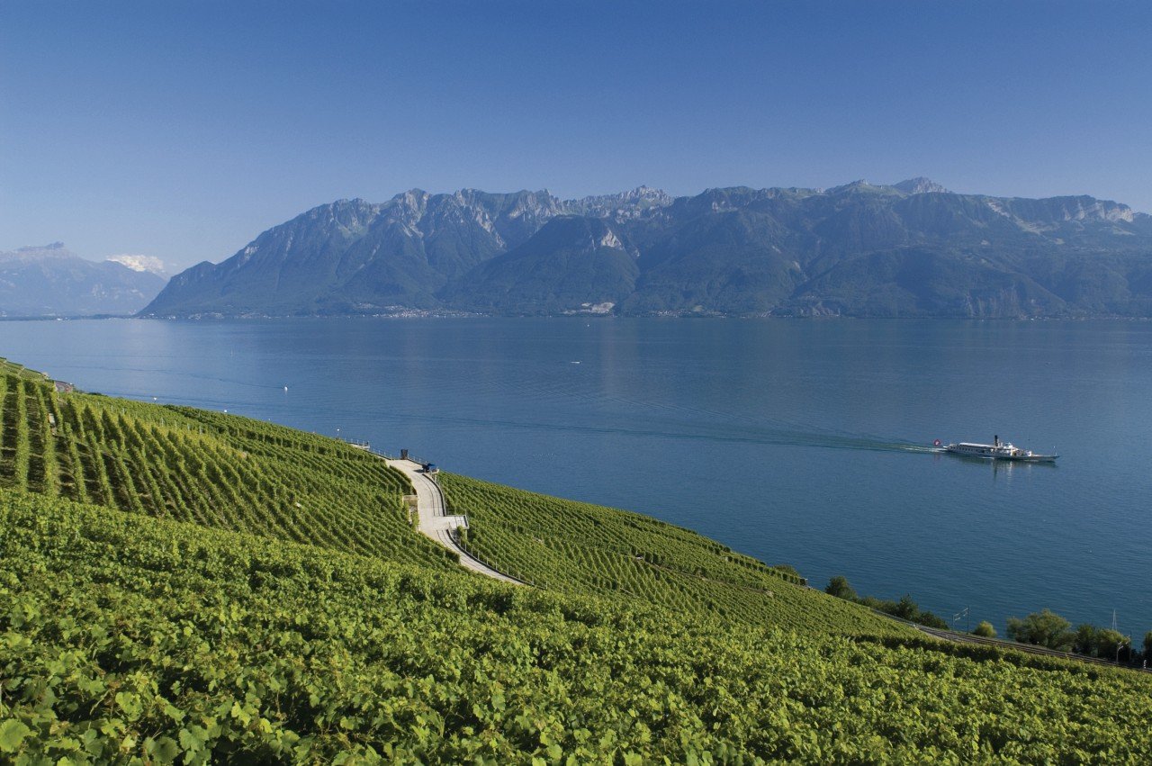 Vignobles de Lavaux et le lac Léman.