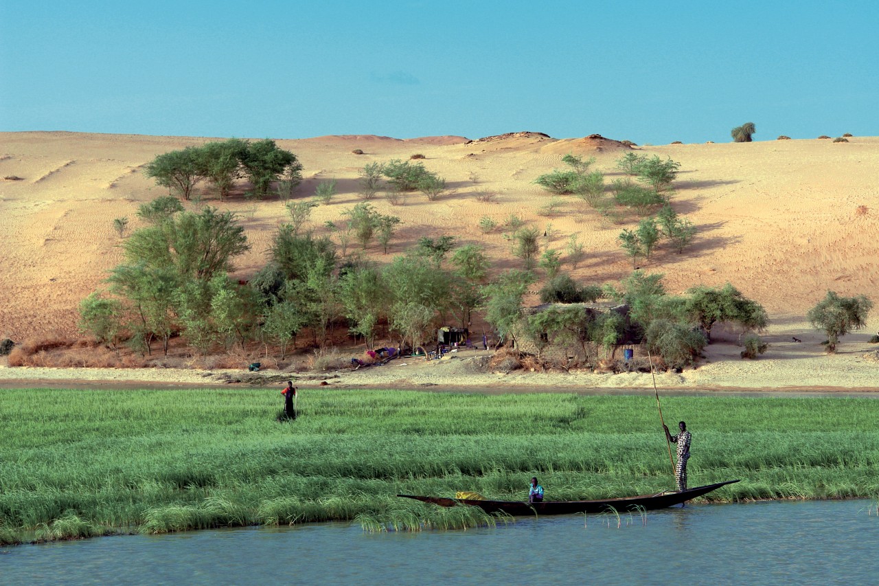 Entre Tombouctou et Gao, les dunes plongent dans le lit fertile du fleuve