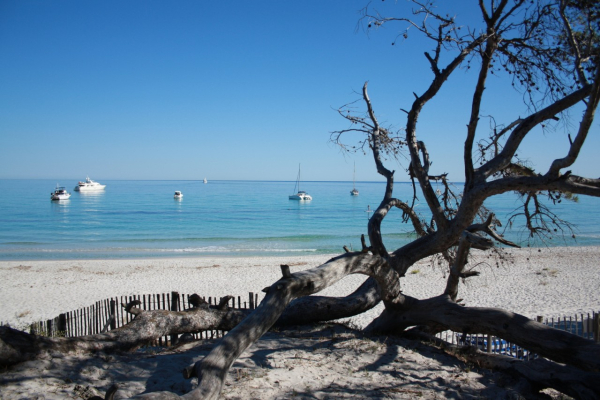 Le Site De Lagriate Et Les Plages Saleccia Lotu Et