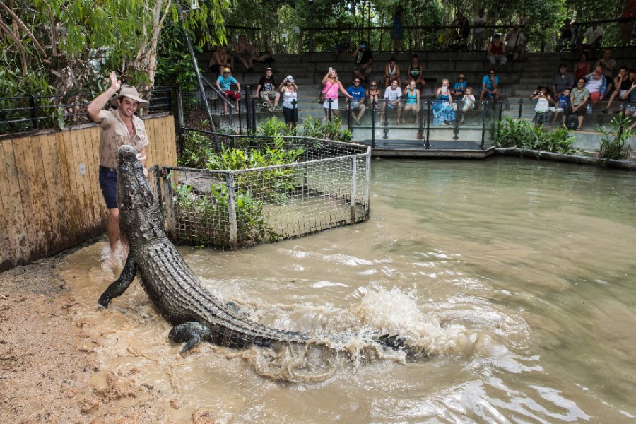 HARTLEY'S CROCODILE ADVENTURES - Animal reserve – Farm - Port Douglas