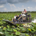 AIRBOAT TOURS BY ARTHUR