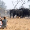 ÉCHAPPÉE NAMIBIENNE