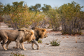 LARK JOURNEYS NAMIBIA