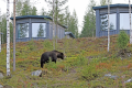 BEAR CENTRE