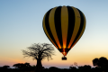 SERENGETI BALLOON SAFARIS