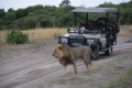 AFRICA SKY HOVERY SAFARIS