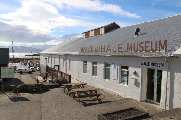 Avis MUSÉE DE LA BALEINE (HÚSAVÍK WHALE MUSEUM) : découvrez les avis ...