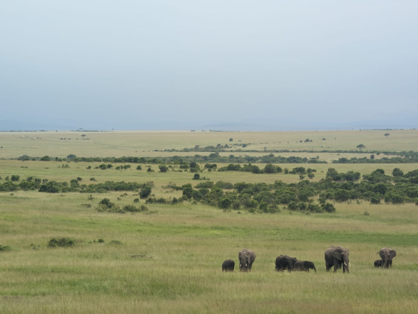 Amboseli